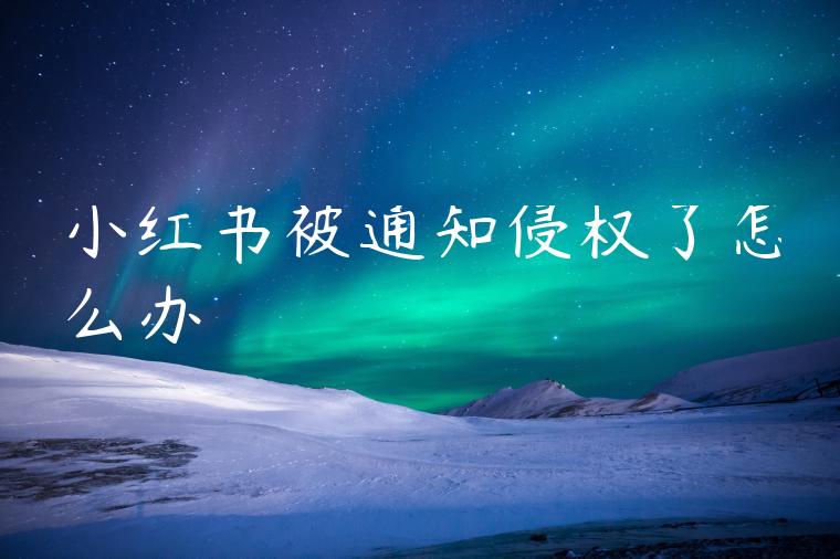 小红书被通知侵权了怎么办 小红书被通知侵权了怎么办