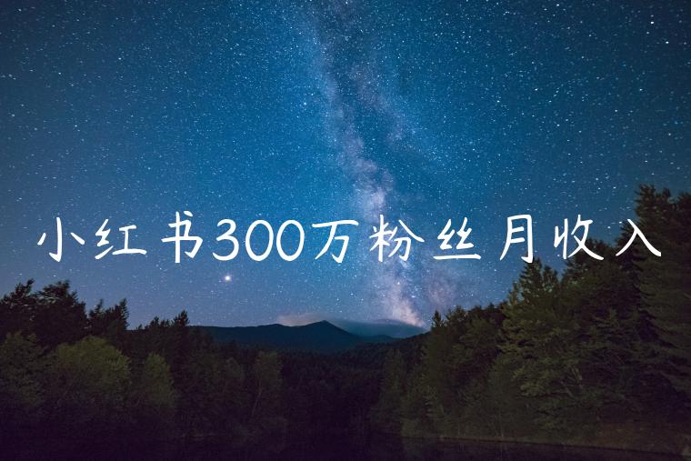 小红书300万粉丝月收入