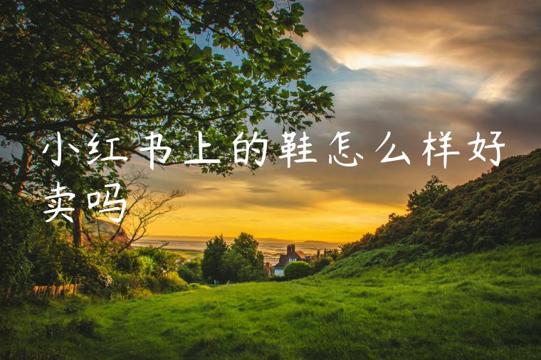 小红书上的鞋怎么样好卖吗 小红书上的鞋怎么样好卖吗