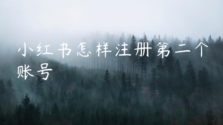 小红书怎样注册第二个账号 小红书怎样注册第二个账号