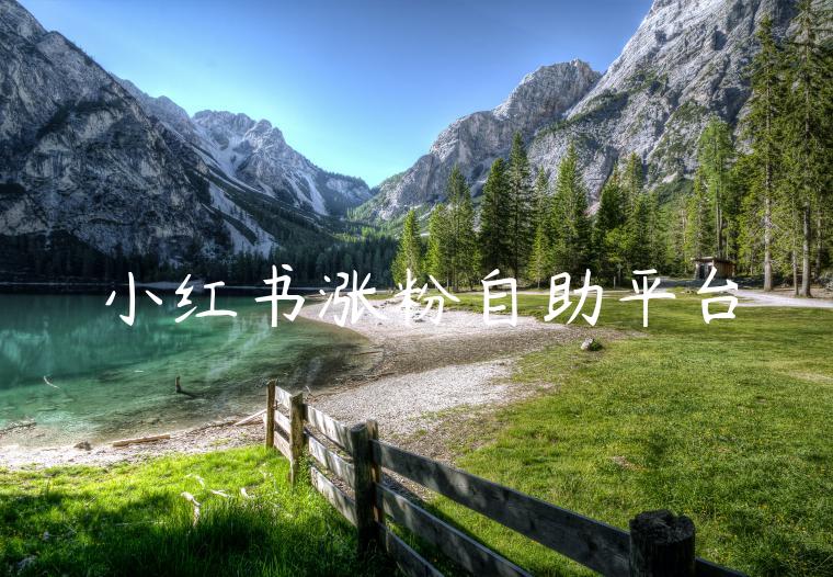 小红书涨粉自助平台 小红书涨粉自助平台