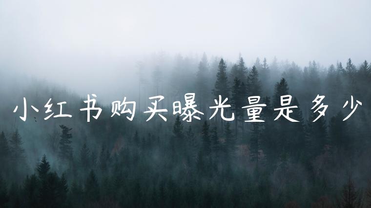 小红书购买曝光量是多少 小红书购买曝光量是多少