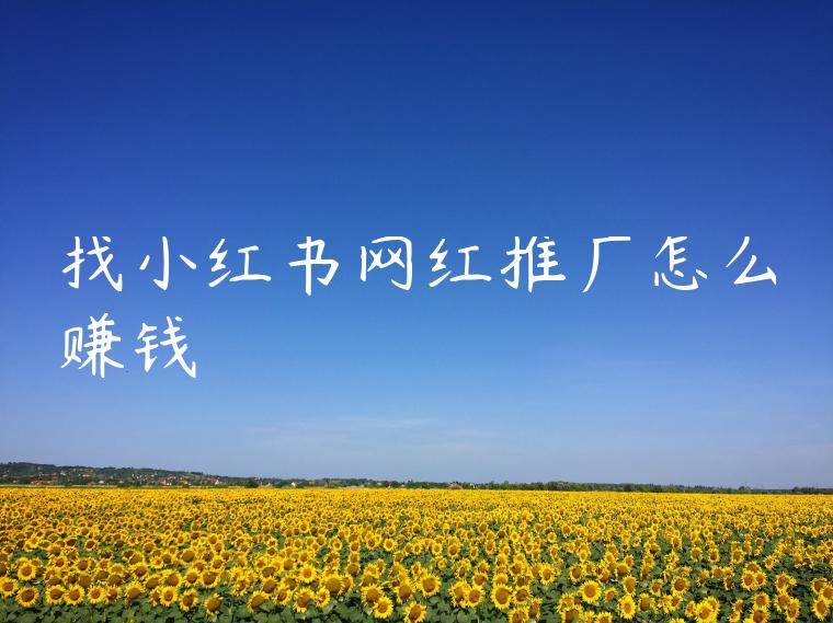 找小红书网红推广怎么赚钱