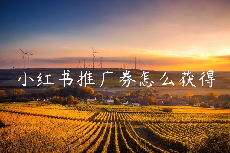 小红书推广券怎么获得 小红书推广券怎么获得