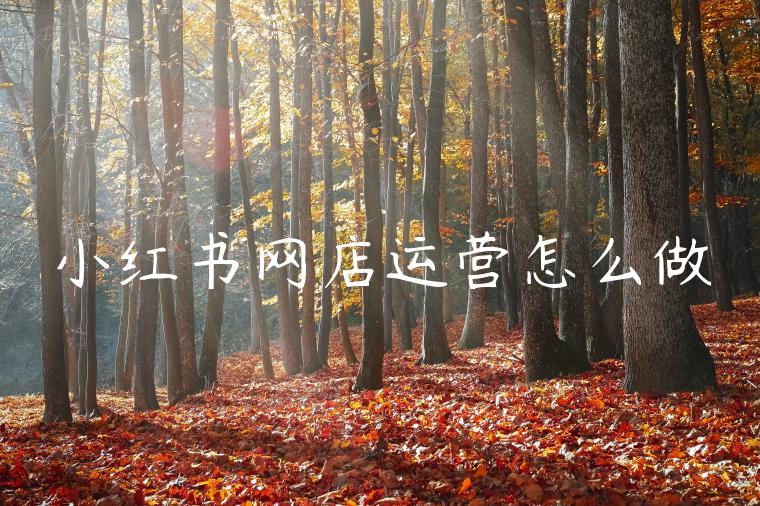 小红书网店运营怎么做