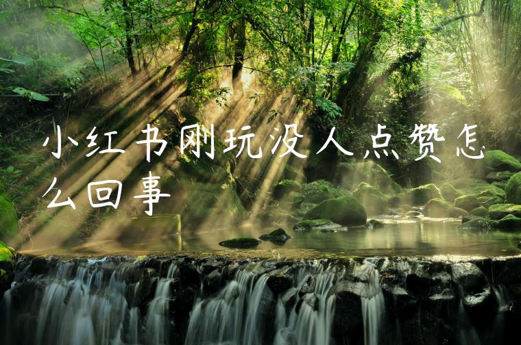 小红书刚玩没人点赞怎么回事 小红书刚玩没人点赞怎么回事