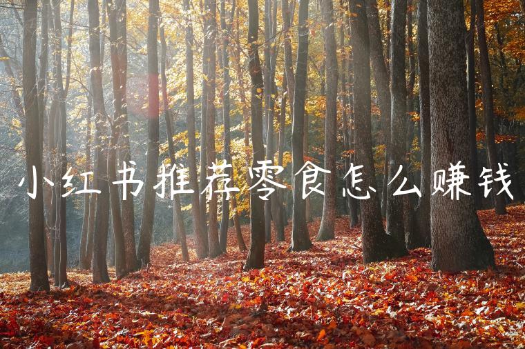 小红书推荐零食怎么赚钱