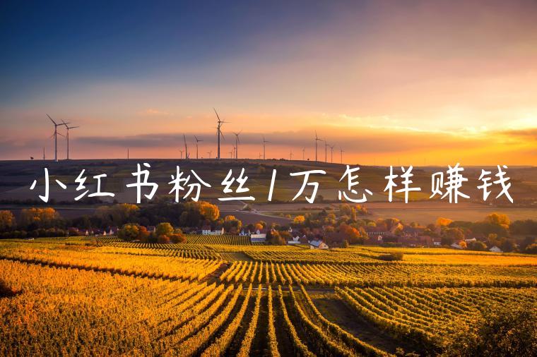 小红书粉丝1万怎样赚钱