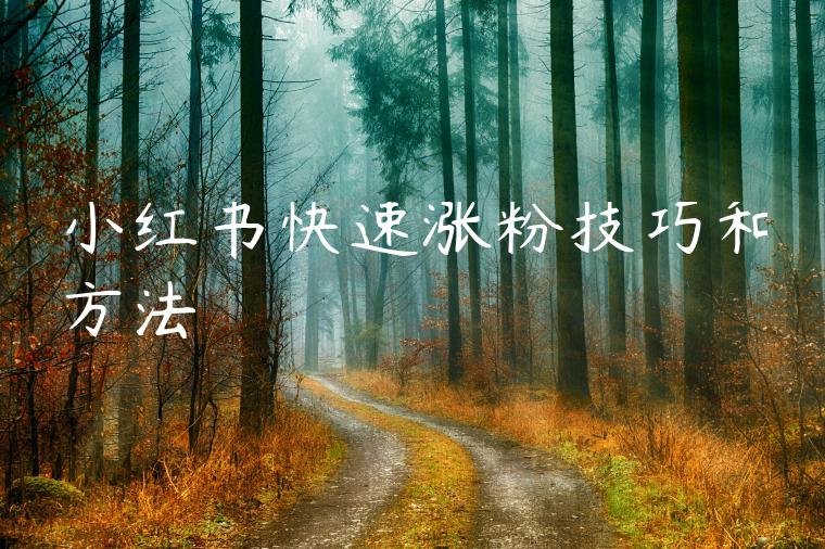 小红书快速涨粉技巧和方法 小红书快速涨粉技巧和方法