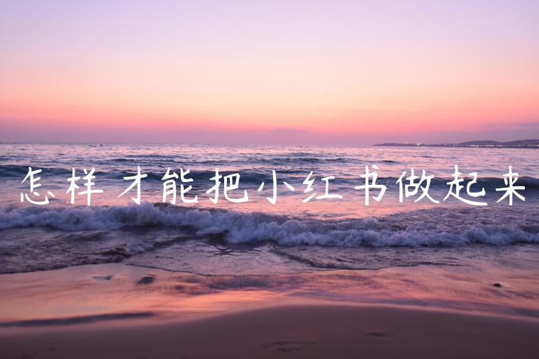 怎样才能把小红书做起来 怎样才能把小红书做起来