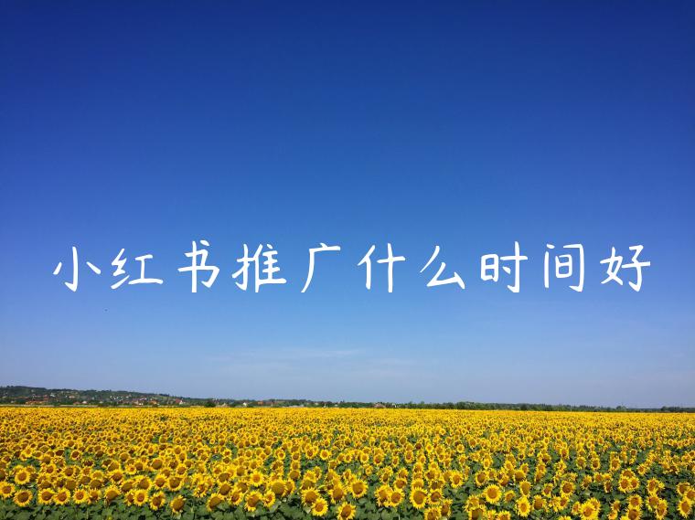 小红书推广什么时间好 小红书推广什么时间好