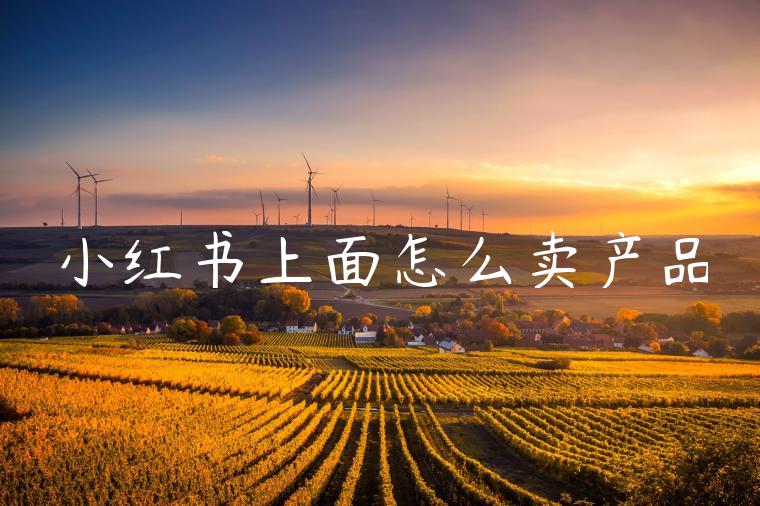 小红书上面怎么卖产品