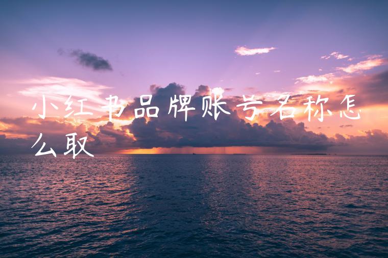 小红书品牌账号名称怎么取