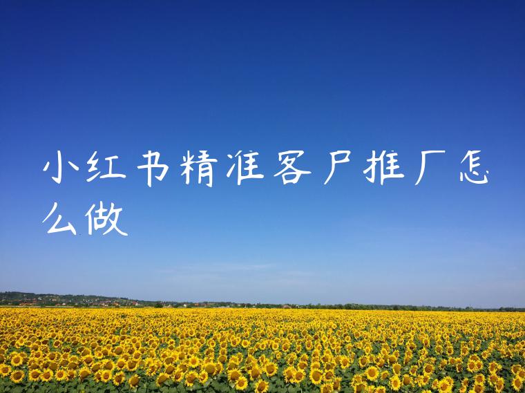 小红书精准客户推广怎么做