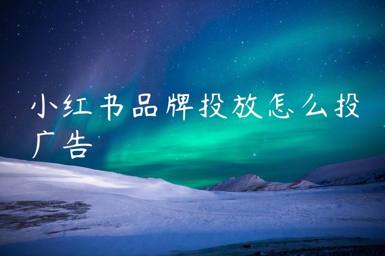 小红书品牌投放怎么投广告 小红书品牌投放怎么投广告
