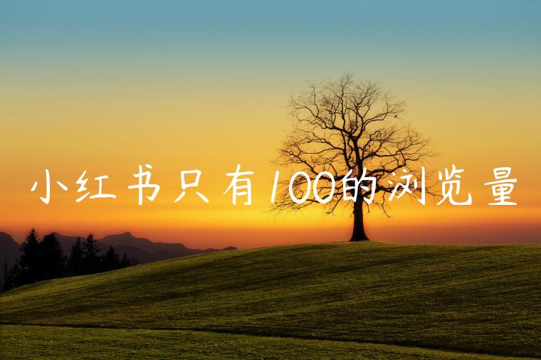 小红书只有100的浏览量