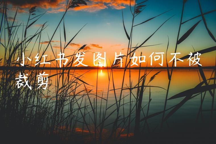 小红书发图片如何不被裁剪