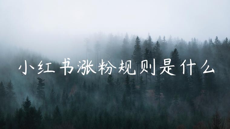 小红书涨粉规则是什么 小红书涨粉规则是什么