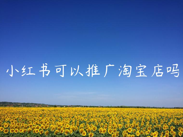 小红书可以推广淘宝店吗 小红书可以推广淘宝店吗