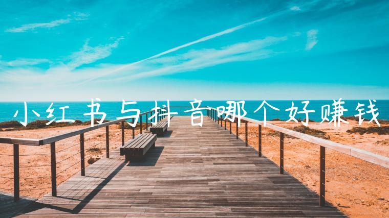 小红书与抖音哪个好赚钱