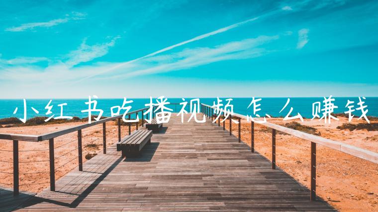 小红书吃播视频怎么赚钱