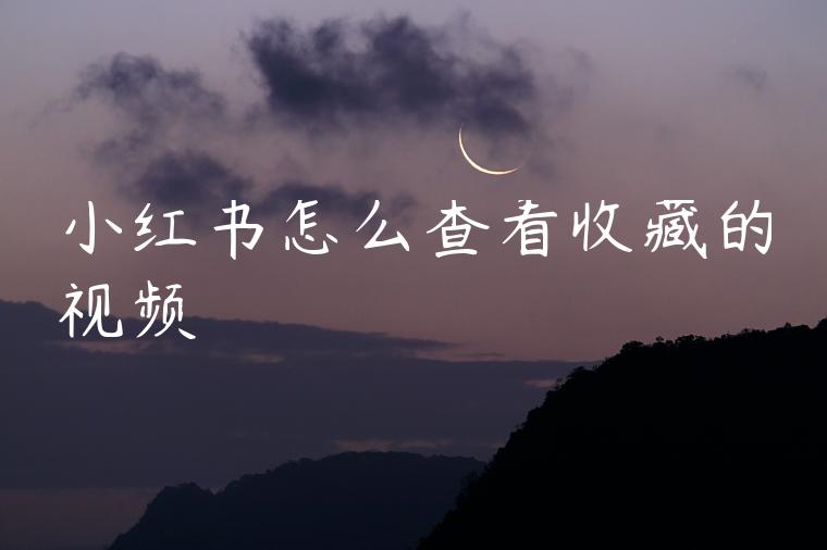 小红书怎么查看收藏的视频