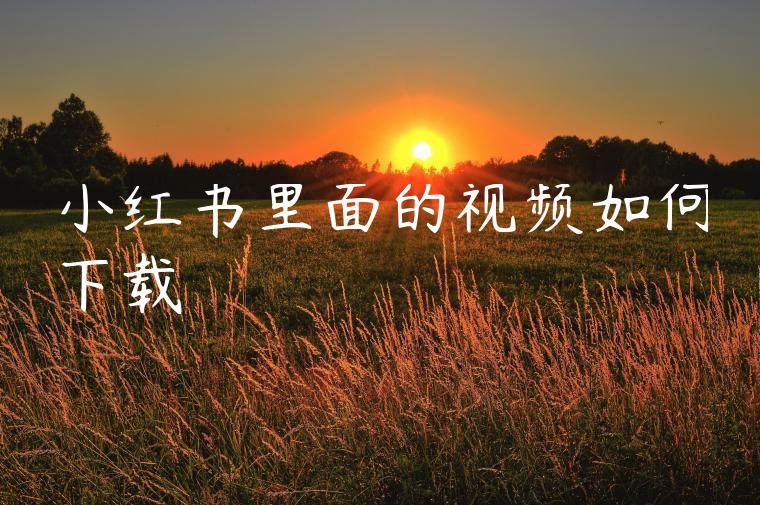 小红书里面的视频如何下载 小红书里面的视频如何下载