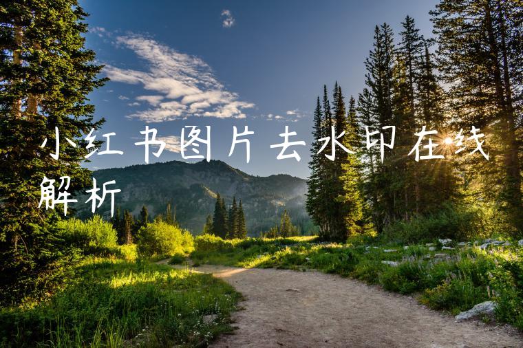 小红书图片去水印在线解析