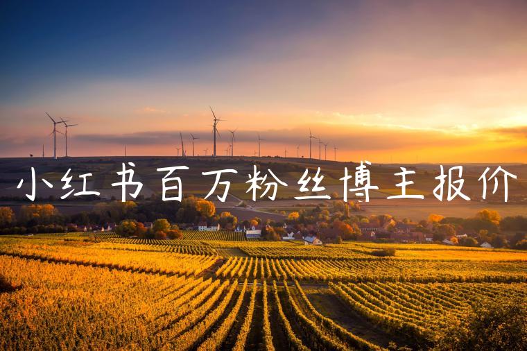 小红书百万粉丝博主报价 小红书百万粉丝博主报价