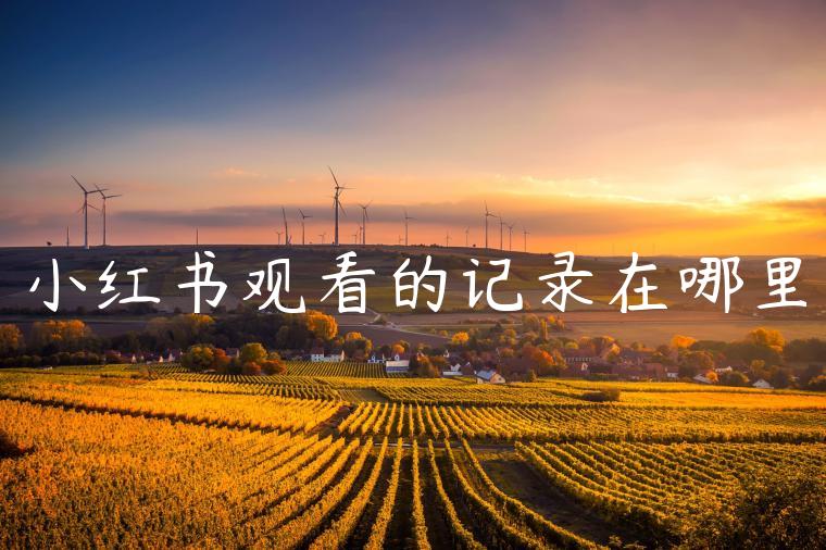 小红书观看的记录在哪里