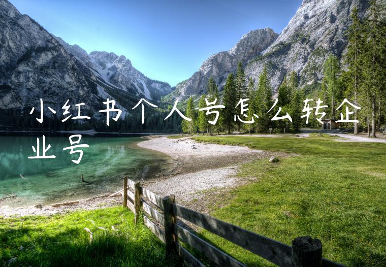 小红书个人号怎么转企业号 小红书个人号怎么转企业号
