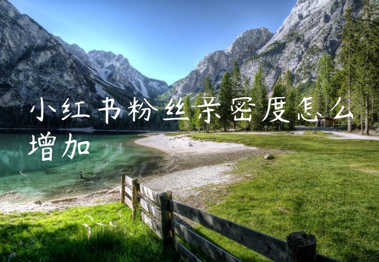 小红书粉丝亲密度怎么增加 小红书粉丝亲密度怎么增加