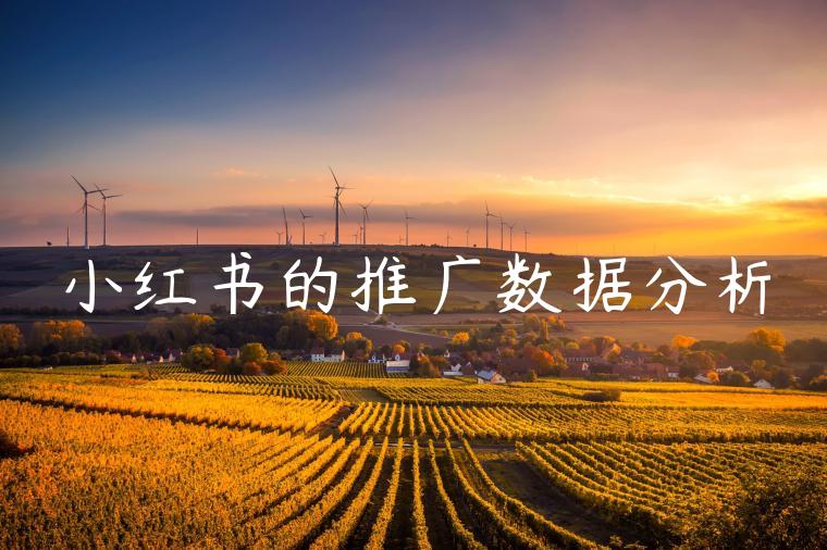 小红书的推广数据分析