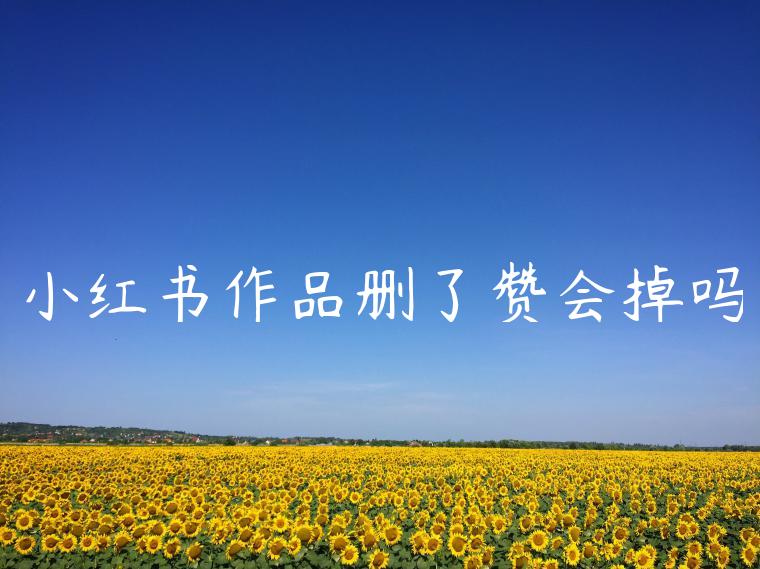 小红书作品删了赞会掉吗