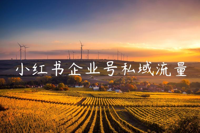 小红书企业号私域流量