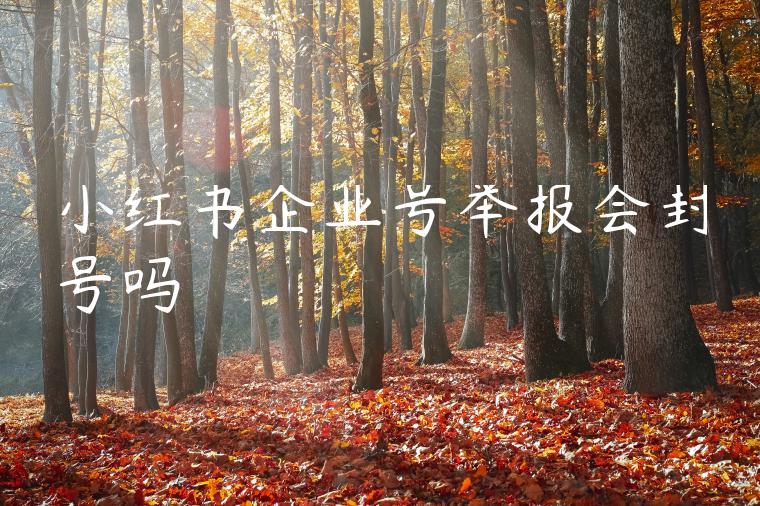 小红书企业号举报会封号吗 小红书企业号举报会封号吗