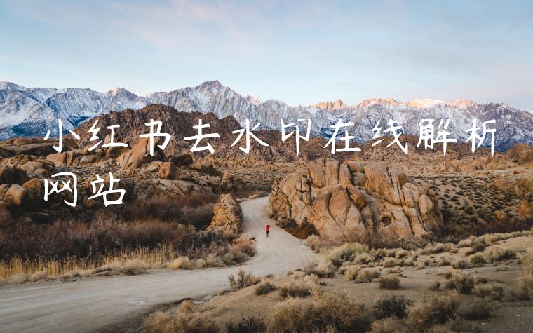 小红书去水印在线解析网站