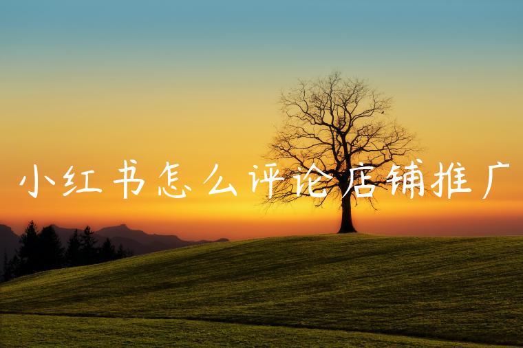 小红书怎么评论店铺推广 小红书怎么评论店铺推广