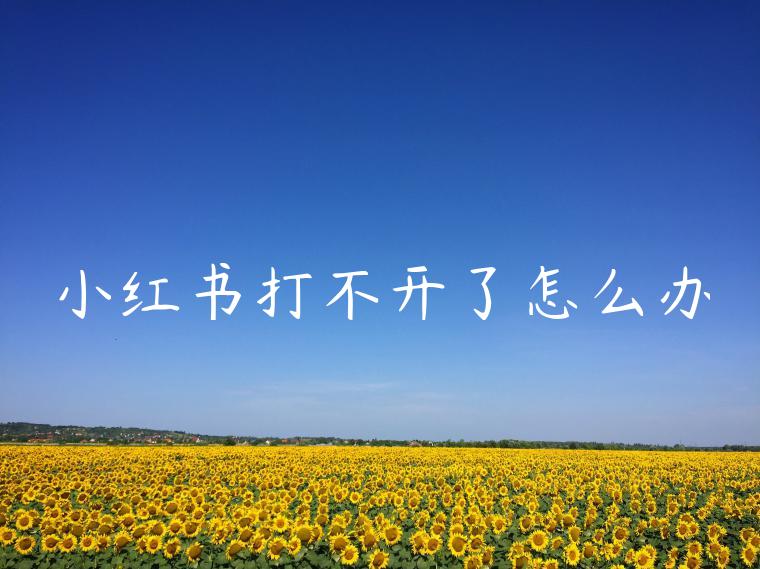 小红书打不开了怎么办 小红书打不开了怎么办