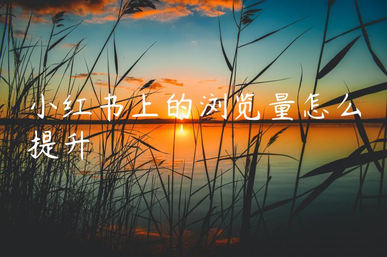 小红书上的浏览量怎么提升