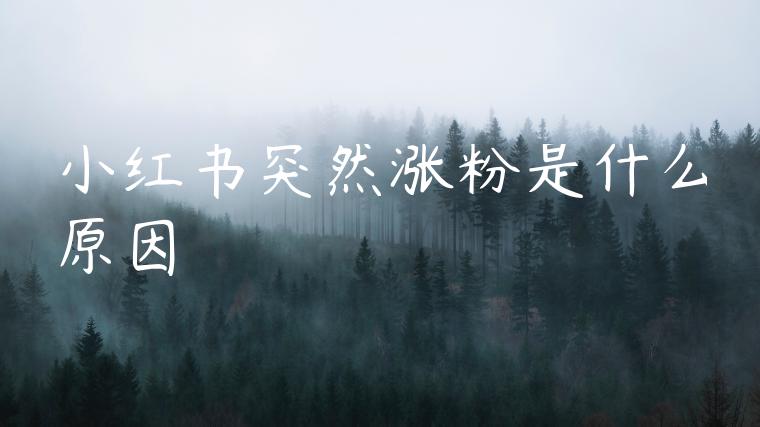 小红书突然涨粉是什么原因