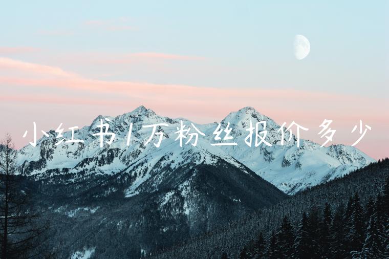 小红书1万粉丝报价多少