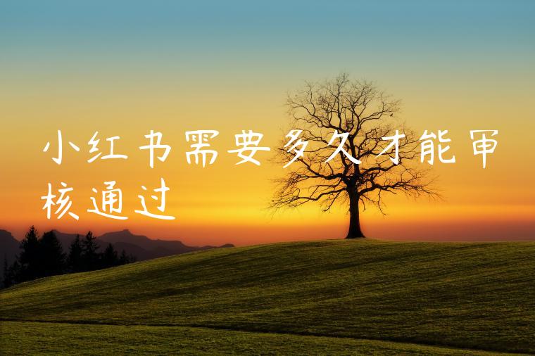 小红书需要多久才能审核通过