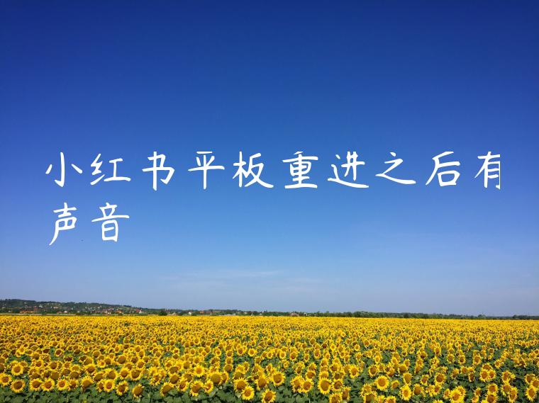 小红书平板重进之后有声音 小红书平板重进之后有声音