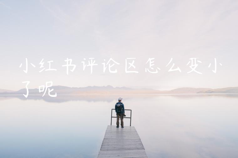 小红书评论区怎么变小了呢