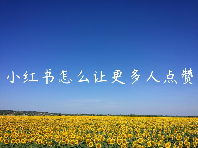 小红书怎么让更多人点赞