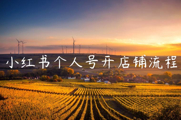 小红书个人号开店铺流程