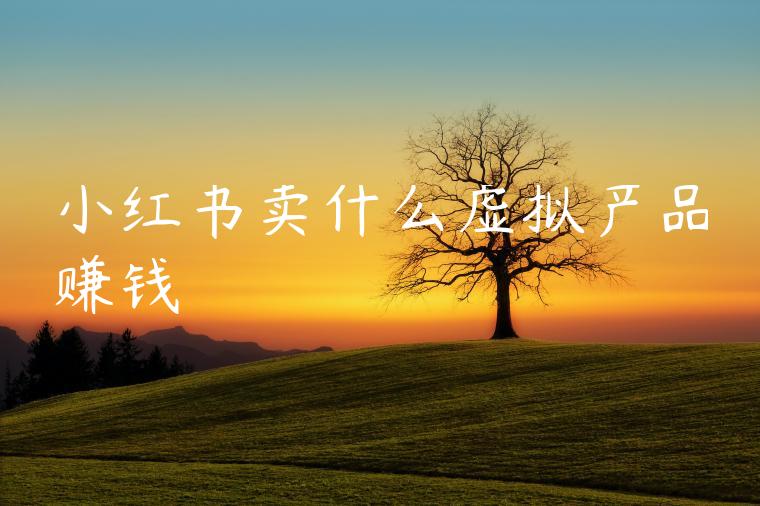 小红书卖什么虚拟产品赚钱 小红书卖什么虚拟产品赚钱