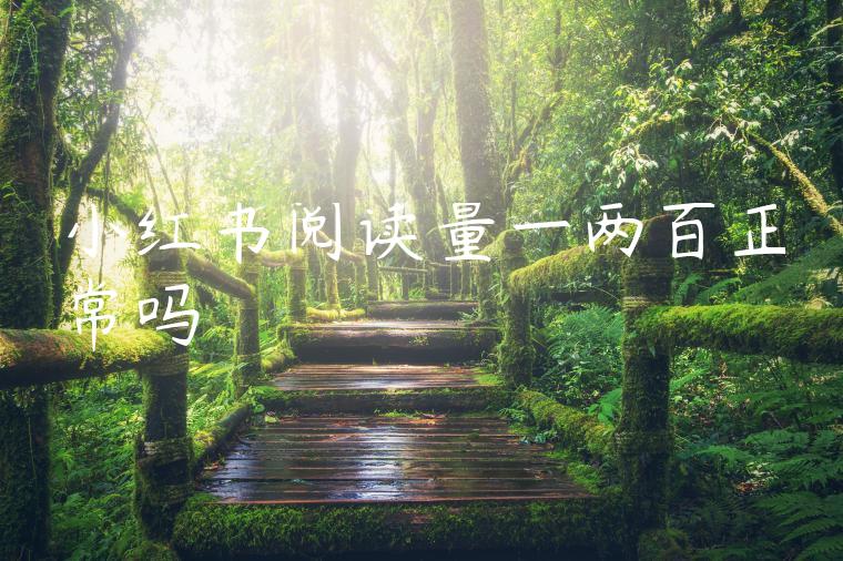 小红书阅读量一两百正常吗