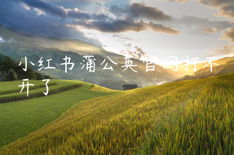 小红书蒲公英官网打不开了 小红书蒲公英官网打不开了